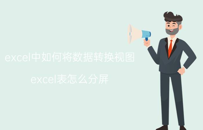 excel中如何将数据转换视图 excel表怎么分屏？